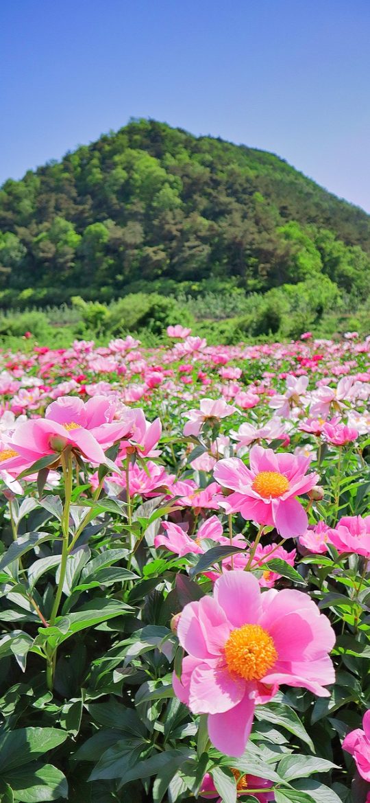 凡人修仙传189集在线观看 App 播放器横屏界面，画面下方控制条显示进度、倍速与清晰度切换按钮，深色沉浸背景