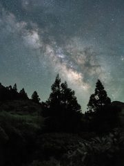 完美世界动漫封面，主角石昊在星空背景下展示强大气场，光效绚丽