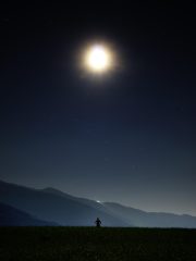 遮天动漫封面，叶凡在古老星空中修炼，画面古朴神秘充满宇宙感